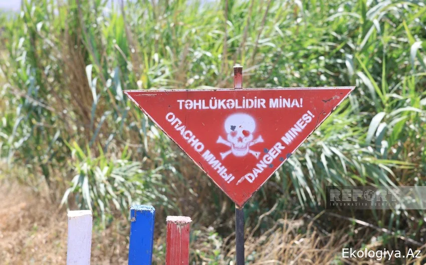 Ötən həftə 1600 hektardan çox ərazi minalardan təmizlənib
