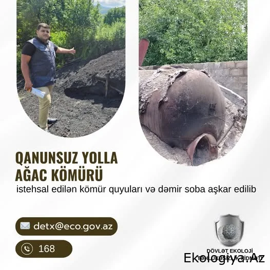 Bu rayonlarda qanunsuz yolla ağac kömürü istehsal edənlər cəzalandırılıb