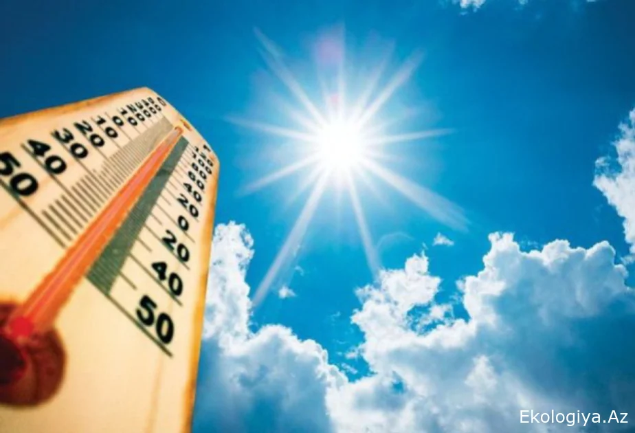 Bu gün Naxçıvanda 41 dərəcə isti qeydə alınıb
