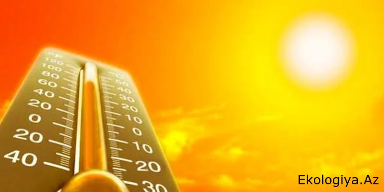 Avropadakı istilər iqlim dəyişikliyi ilə bağlı ölümləri üç dəfə artırıb