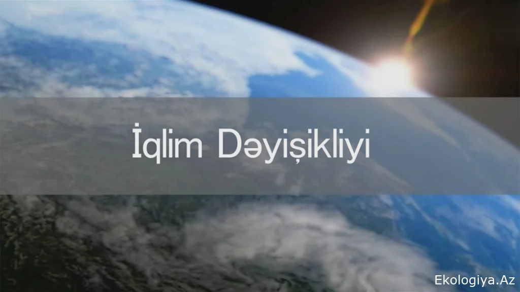 İqlim dəyişikliyinin fəsadları: Avropada "yüksək temperatur" qurbanlarının sayı 3 dəfə artıb