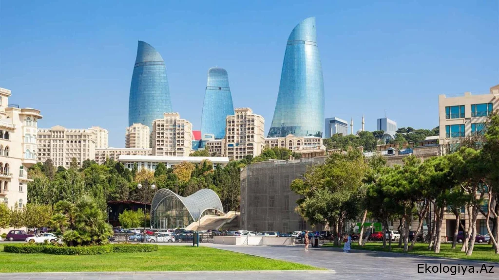 Bakıda insanlar təşviş içində - küçəni bürüyən bu canlılar nədir? - FOTO