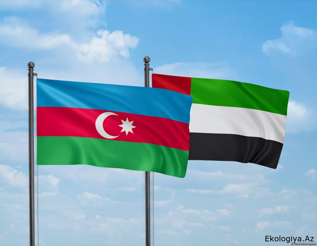 Azərbaycan və BƏƏ əməkdaşlığının yeni istiqamətləri: ənənəvi enerjidən “yaşıl” iqtisadiyyata doğru