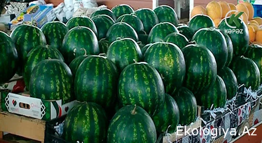 Qarpızlara bu dərmanlar vurulur, xərçəngə yoluxma riski var - XƏBƏRDARLIQ