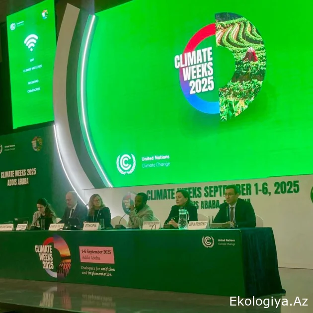 COP29: Əddis-Əbəbədə Bakı Maliyyə Məqsədinin icrasının sürətləndirilməsinə çağırış edilib