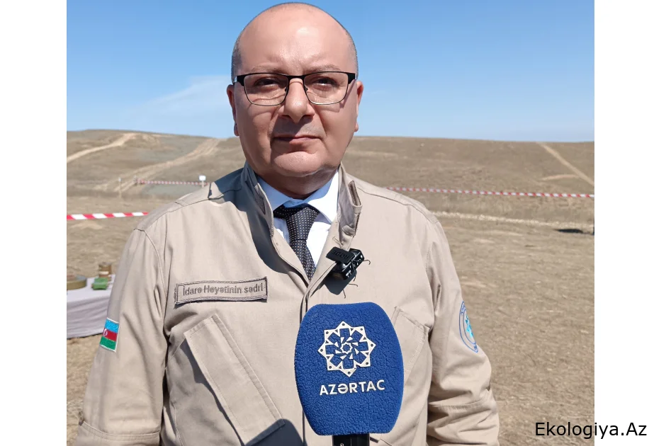 Vüqar Süleymanov: 2020-ci ilin noyabr ayından bu günə kimi 409 mina qurbanı olub