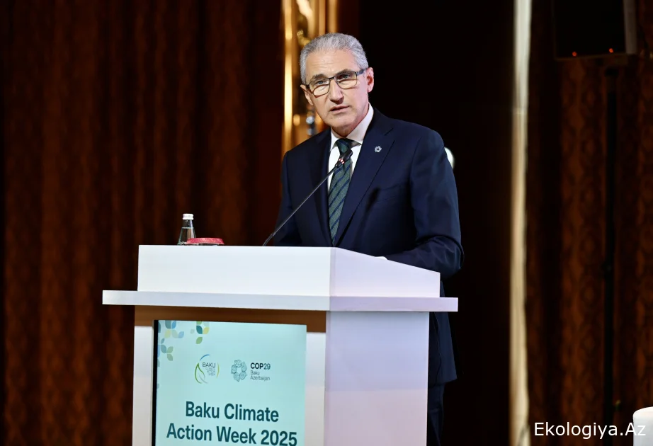 Muxtar Babayev: COP29 uşaqları və gəncləri bütün fəaliyyətlərin prioritetinə çevirdi