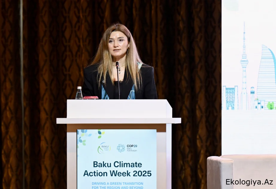 Nərmin Carçalova: COP29 həm də davamlı qlobal enerji modeli kimi təşkil edilib