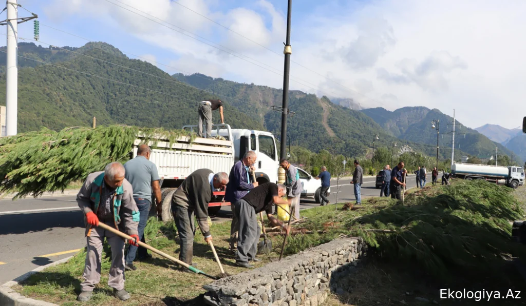 Qəbələdə ağacəkmə aksiyasında 450 ting əkilib