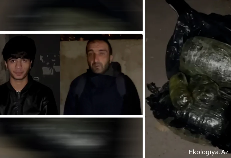 Nəsimi rayonunda narkotik vasitələrin satışı və qanunsuz dövriyyəsi ilə məşğul olan 2 nəfər saxlanılıb