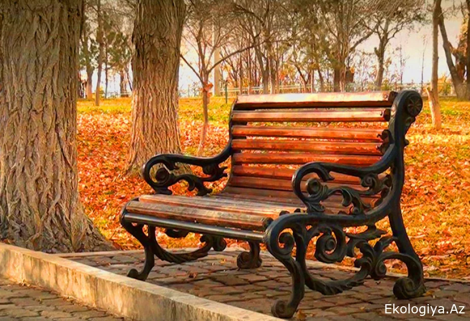 Qələbə müjdəli payızım