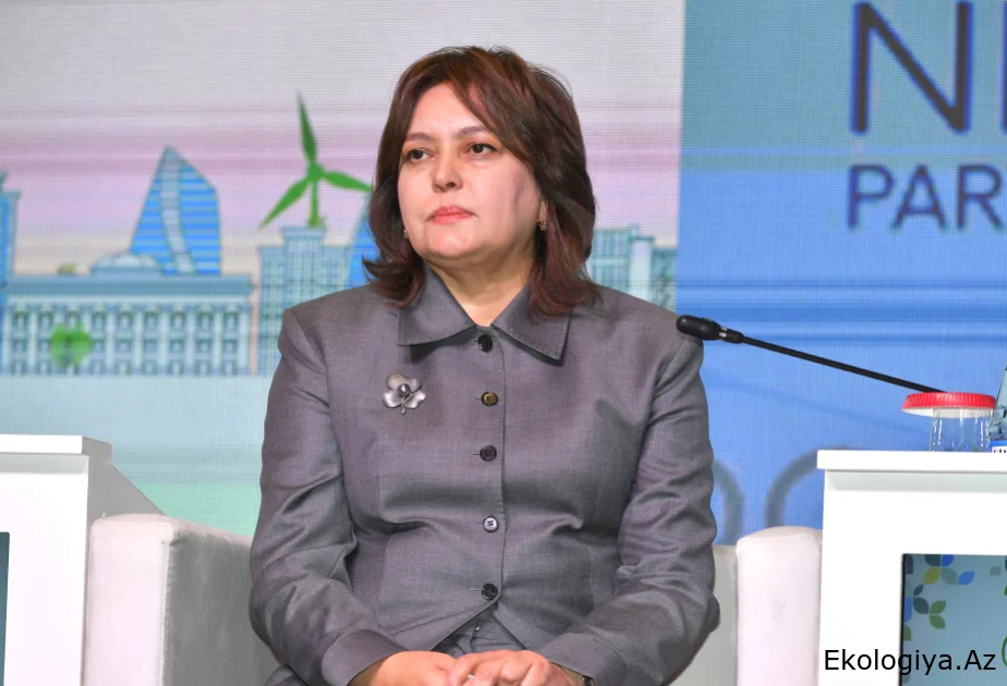 Nazir müavini: Azərbaycana daxil olan suyun həcmi 30 faiz azalıb