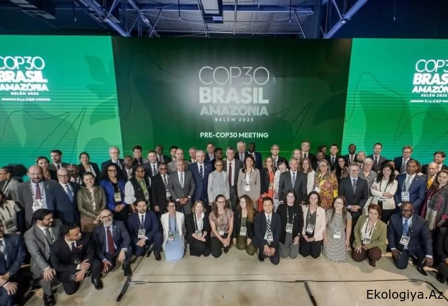 COP29 Sədrliyi Pre-COP Braziliyada iqlim öhdəliklərinin yerinə yetirilməsinə çağırış edib