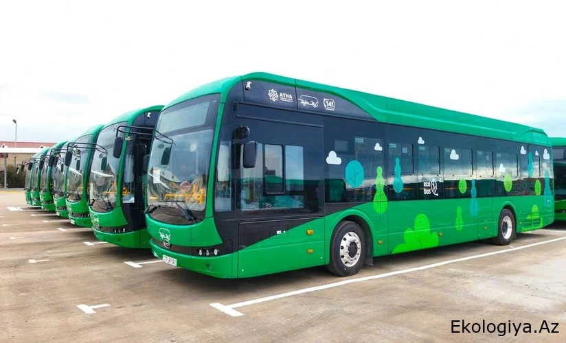 Bakıda 93 nömrəli marşrutun avtobusları yenilənir