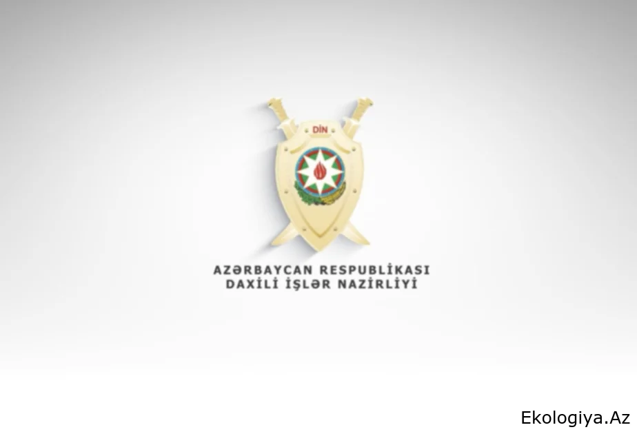 Qanunsuz saxlanılan silah-sursat aşkarlanıb