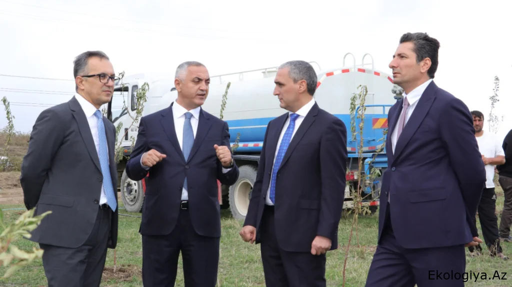 Xocalıda ağacəkmə aksiyası keçirilib -  FOTO
