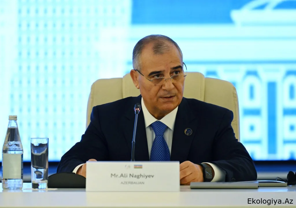 DTX-nin rəisi: Ağdərədə növbəti kütləvi məzarlıq aşkarlanıb
