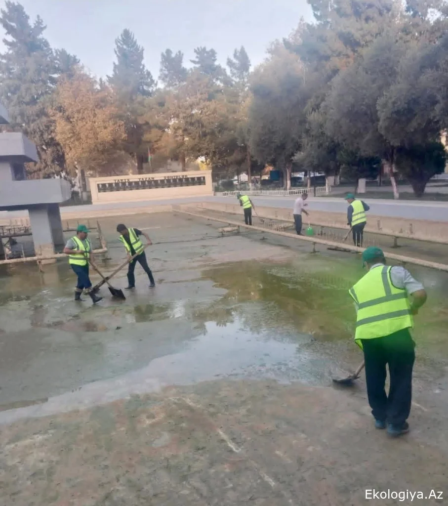 Mədəniyyət və İstirahət parkında cari abadlıq işləri həyata keçirilib