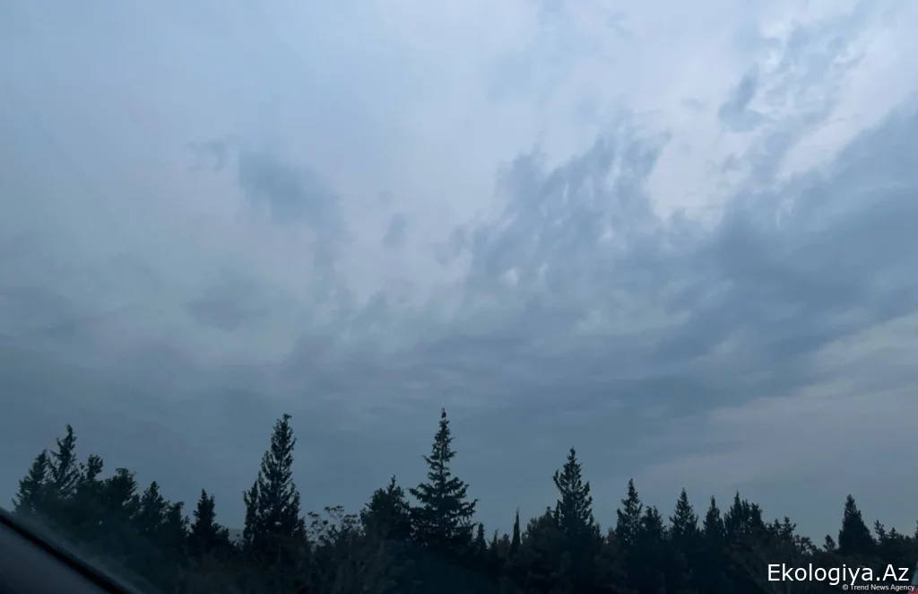 Sabahın hava PROQNOZU