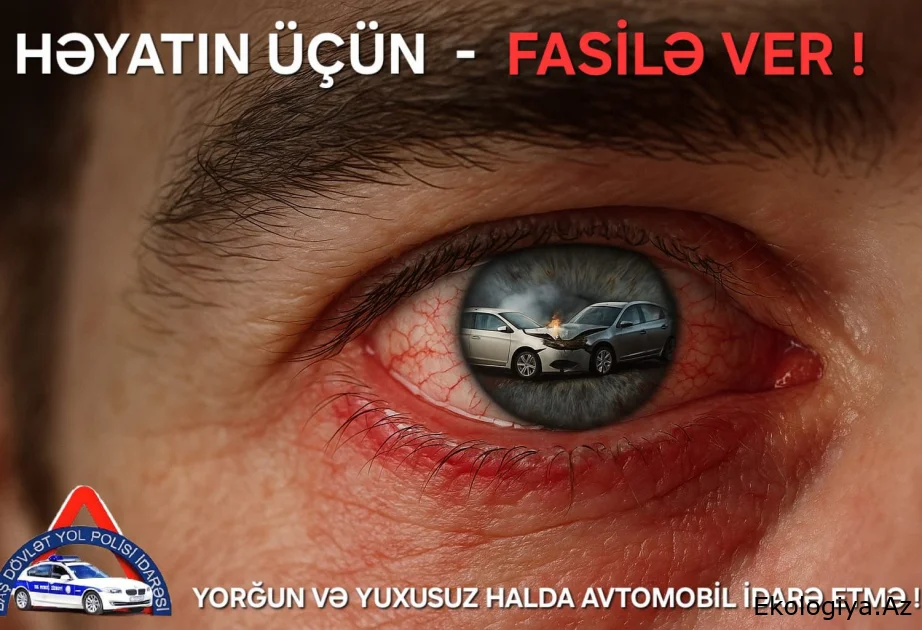 BDYPİ: Yorğun və yuxusuz sürücü yoldakı ən böyük təhlükədir