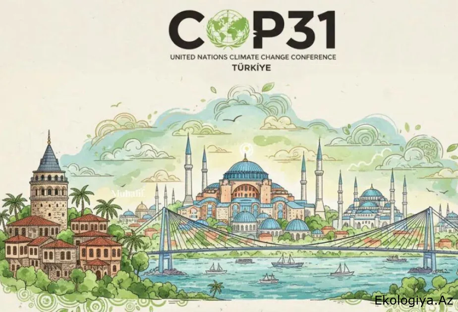 Türkiyə və Avstraliya COP31 üzrə birgə sədrliyin formatını müəyyənləşdirib