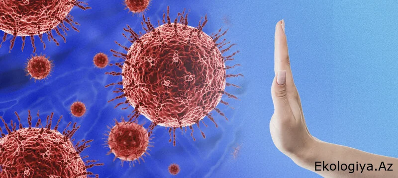 Azərbaycanda yeni növ virus yayıldı? - AÇIQLAMA