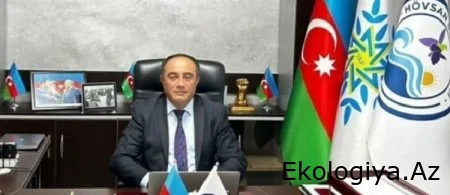 Bələdiyyə sədri Seymur Rəsulovdan yaşıl soyqrım, ağacları belə məhv edilir - Videofakt
