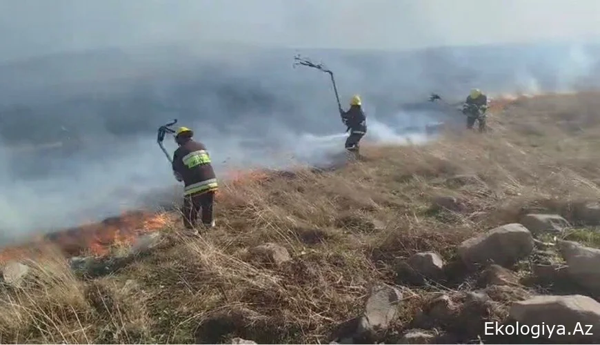 Gədəbəydə dağlıq ərazidə yanğın oldu