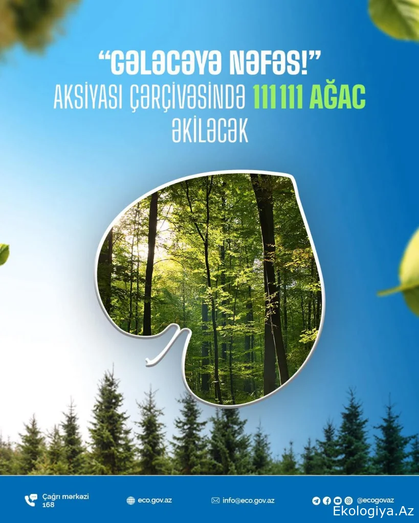 “Gələcəyə nəfəs!” aksiyası çərçivəsində 111 111 ağac əkiləcək