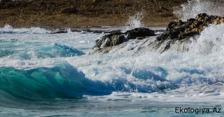 Xəzərin suyu çoxalacaq, bu binalar su altında qalacaq - XƏBƏRDARLIQ