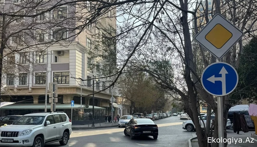 Deputatdan yol nişanları ilə bağlı təkliflər