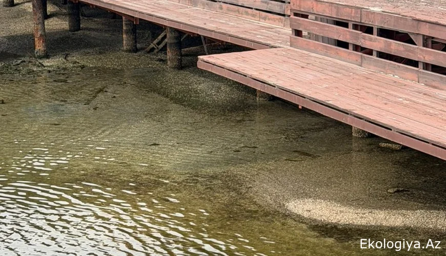 Xəzərdən İLGİNC GÖRÜNTÜLƏR - FOTOLAR