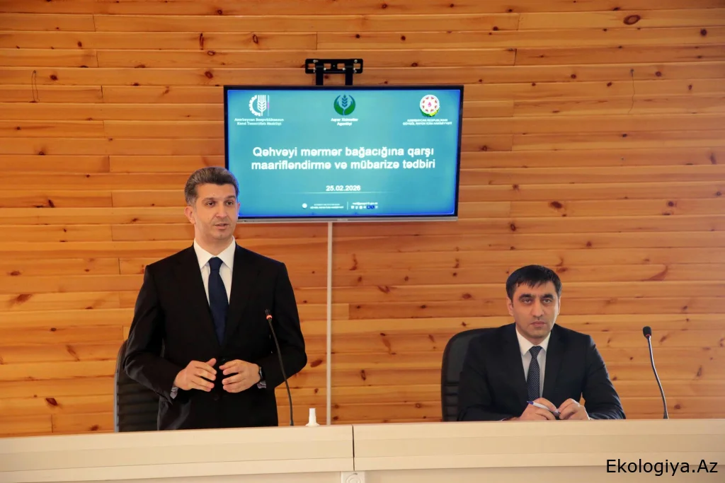 “Qəhvəyi mərmər bağacığına qarşı maarifləndirmə və mübarizə tədbirləri” mövzusunda keçirilən silsilə görüşlər davam etdirilir - FOTO