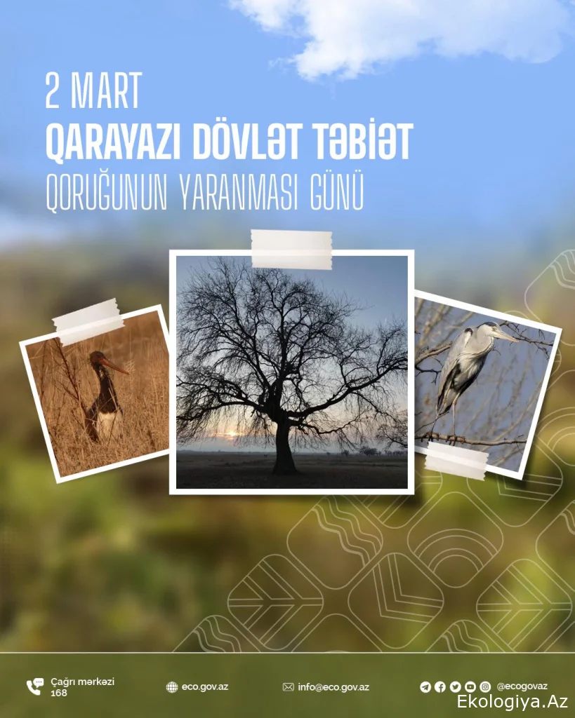 Bu gün Qarayazı Dövlət Təbiət Qoruğunun yaranması günüdür