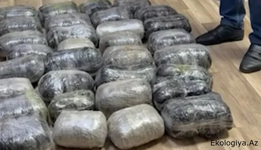 DİN əməliyyat keçirib, 49 kiloqramdan artıq narkotik aşkarlanıb