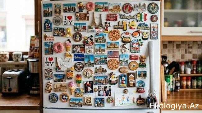 Soyuducuya maqnit yapışdıranlara CİDDİ XƏBƏRDARLIQ