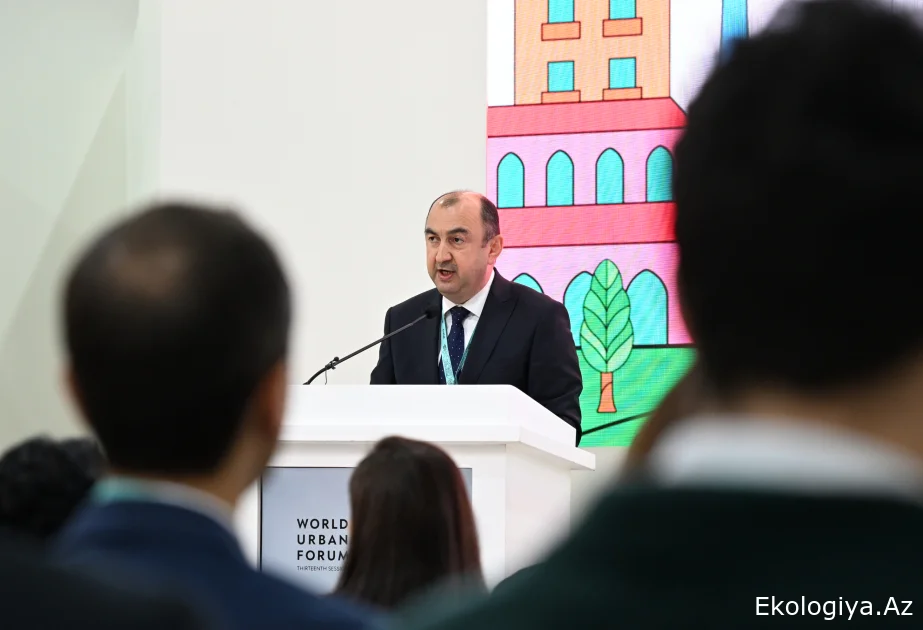 Azərbaycanda il ərzində adambaşına 24-25 kiloqram plastik tullantı yaranır
