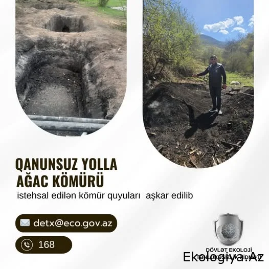 DETX bu rayonlarda qanunsuz ağac kömürü istehsal edən kömür quyuları aşkarladı