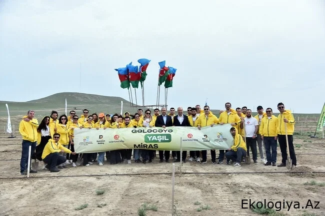 “Gələcəyə yaşıl miras” devizi ilə 40 min ağac əkilib - FOTO