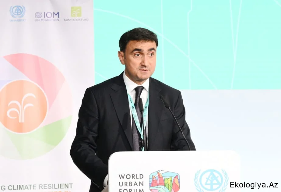 Nazir müavini: Azərbaycan Xəzər dənizi ilə bağlı mühüm təşəbbüslər irəli sürür