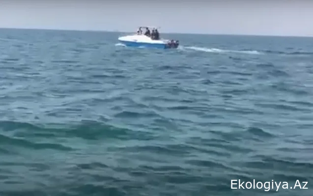 Azərbaycana keçirdikləri 328 kq narkotiki son anda dənizə atıblar