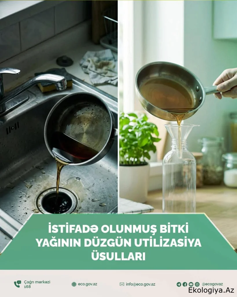 İstifadə olunmuş bitki yağının düzgün utilizasiya üsulları