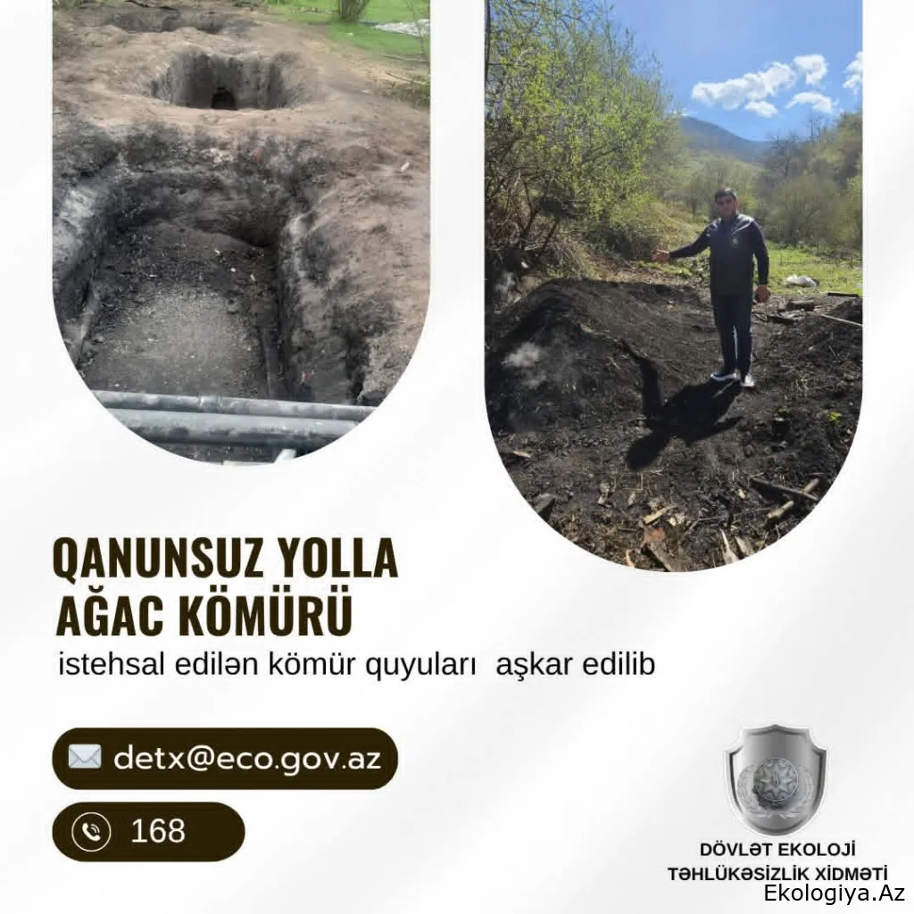 DETX bu rayonlarda  qanunsuz kömür quyuları aşkarladı
