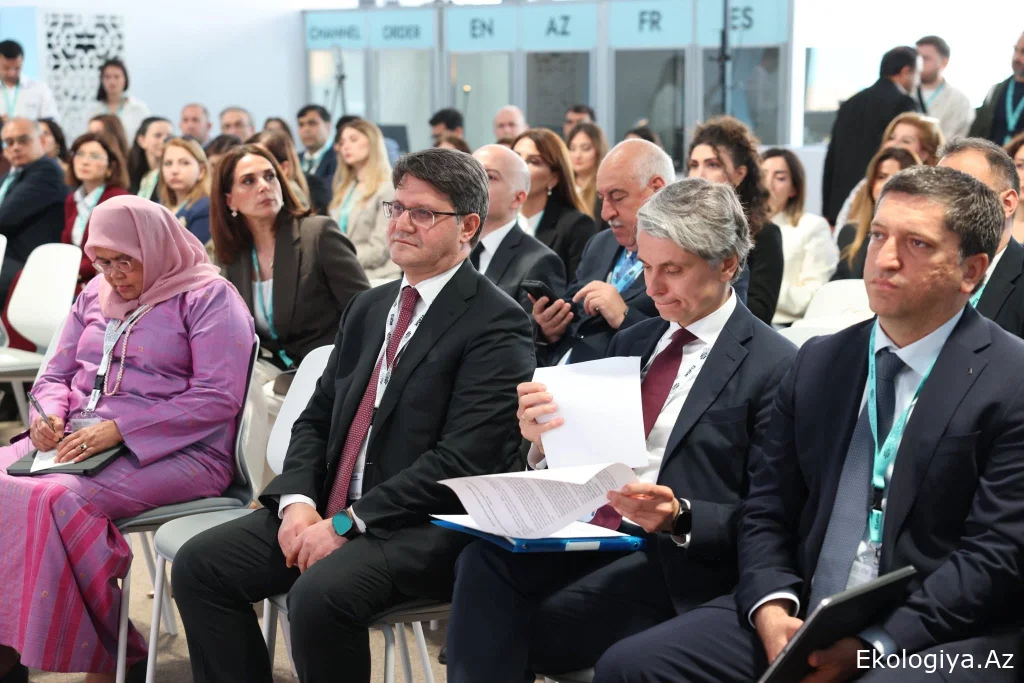 Strateji Ekoloji Qiymətləndirmənin şəhərsalma planlaşdırmasında rolu müzakirə olunub