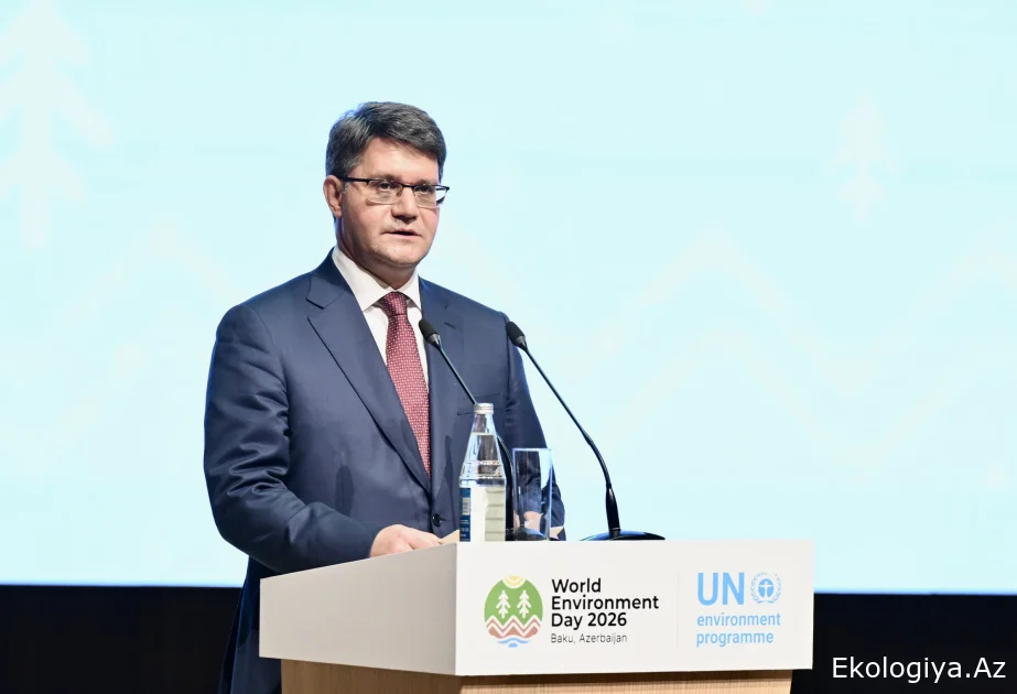 Rəşad İsmayılov: Son 20 ildə Bakıda 100-dən çox park və yaşıllıq zonası salınıb
