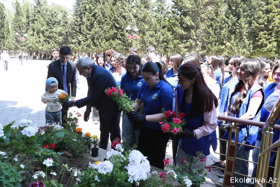Ekoloji aksiya: BDU-nun həyətində müxtəlif çiçəklər əkilib