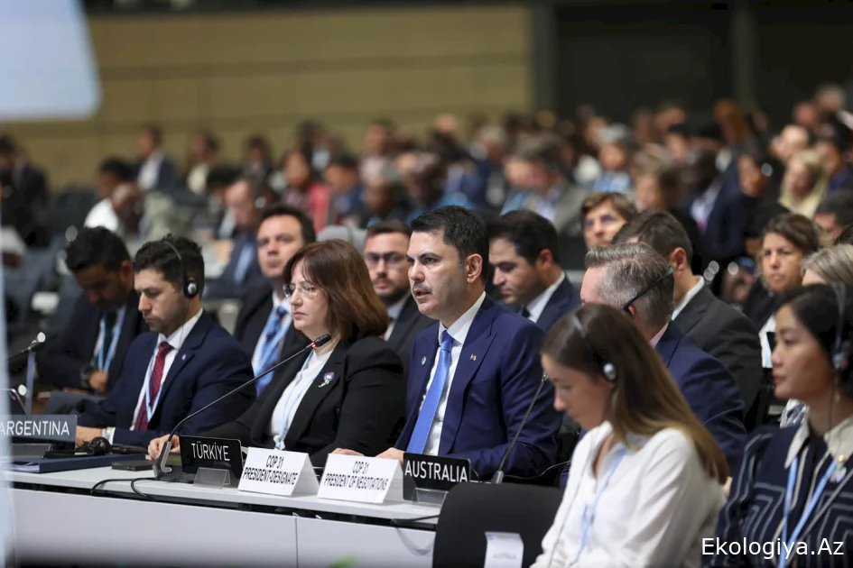 COP31 Sədrliyi 2035-ci ilədək qlobal elektrikləşmənin 35 faizə çatdırılmasını hədəfləyir