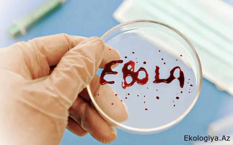 “Ebola” can almağa davam edir: 933 yoluxma qeydə alındı