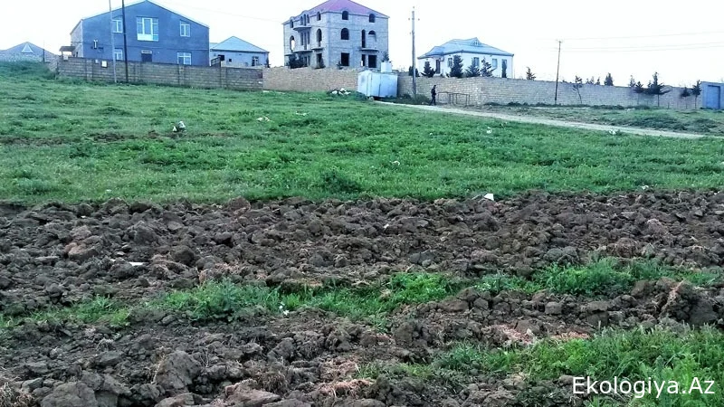 Çıxarışlı torpaqlarda bahalaşma: Bir sotu yarım milyon manat (VİDEO)