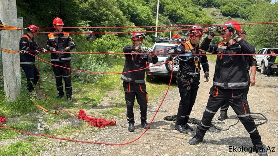 FHN-in Aran Regional Mərkəzi təlim keçirib
